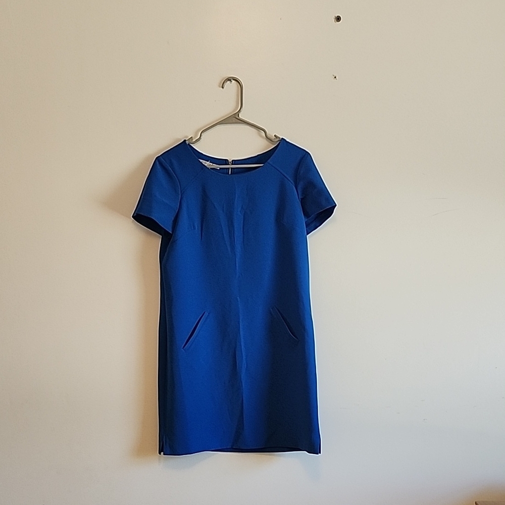 Maggy London Vibrant Blue Dress